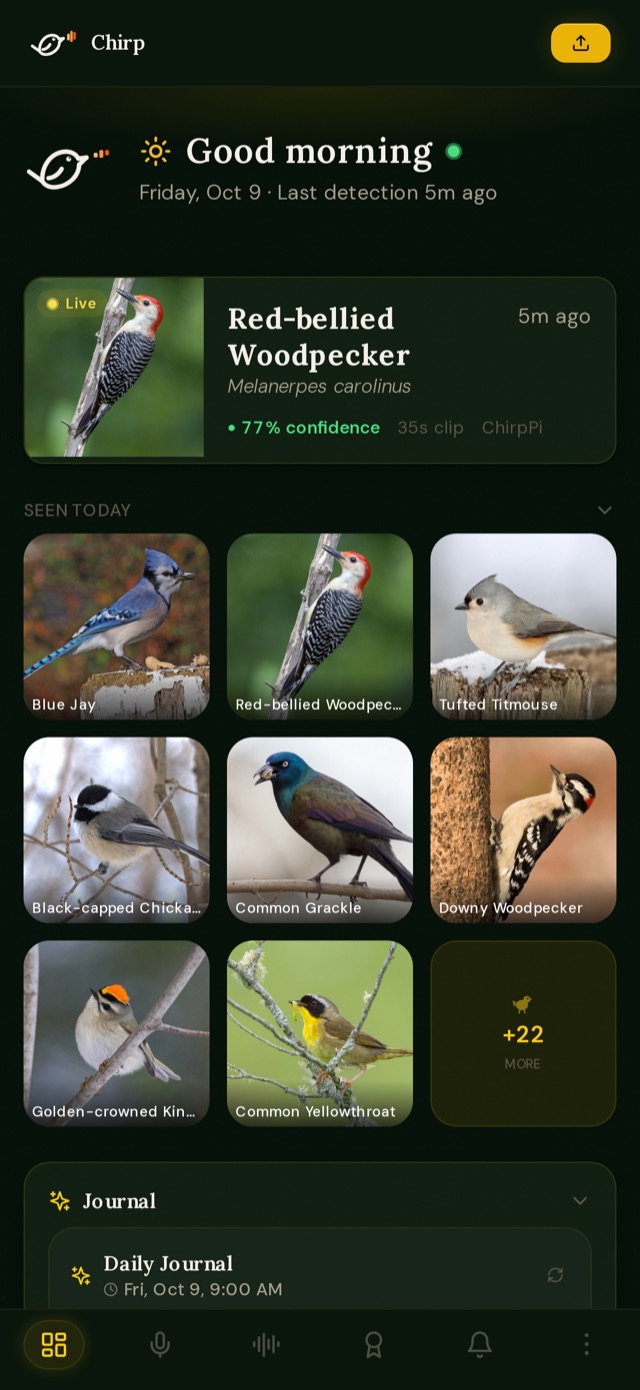 Chirp dashboard with today's birds