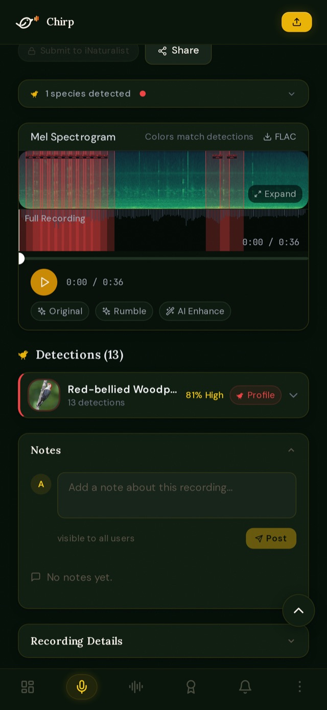 A recording with its spectrogram